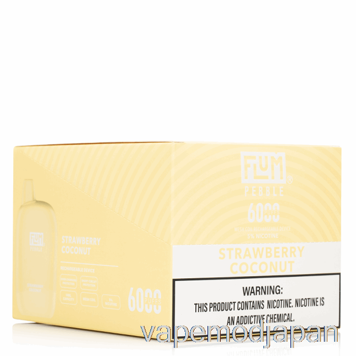 Vape Japan 【10個セット】flum Pebble 6000 使い捨て